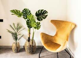 Coliving Compostela 3