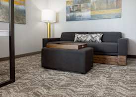 SpringHill Suites by Marriott Pleasanton 2