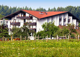 Schwanen 3