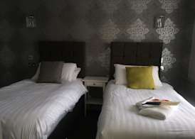 The Star Hotel 5