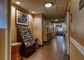 Comfort Inn & Suites Shepherdsville - Louisville South 4