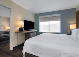 Holiday Inn TAMPA NORTH by IHG 4