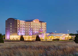 Hilton Garden Inn Dallas/Arlington South 3