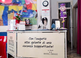 Hotel Eriale Nuova Gestione 2