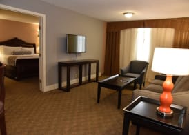 Wyndham Houston near NRG Park - Medical Center 4