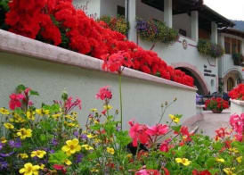 Hotel Arcobaleno 5