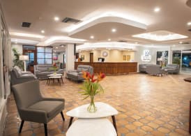 Hotel Margarita Dynasty 3