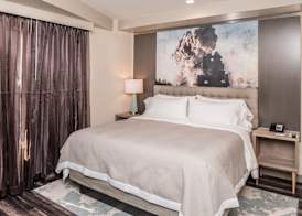Hotel Indigo FRISCO by IHG 4