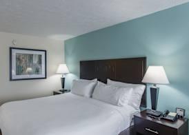 Holiday Inn Express DANDRIDGE by IHG 4
