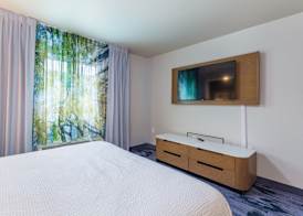 Fairfield Inn and Suites by Marriott Tampa North 3