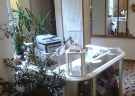 Madam Treviso 4