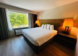 Radiant Inn and Suites 5