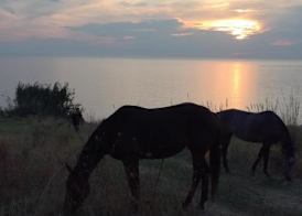 Hotel Donna Carmela Sede Unica a Sciacca 4