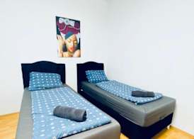 Cozy 3BR Apt 10min to Währinger Park 4