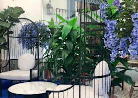 Alameda Hostal Boutique 2