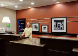 Hampton Inn Rochester-Webster 4