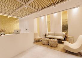 Icon Mykonos 2