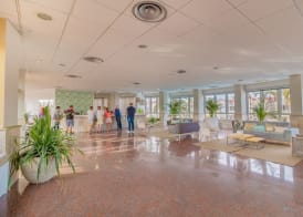 Apartamentos LIVVO Koala Garden 3