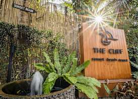 The Cliff Lipe 4