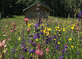 Hotel alle Rose Family inspired garden and SPA 5