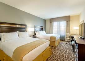 Holiday Inn Express & Suites DENVER SOUTH - CASTLE ROCK by IHG 3