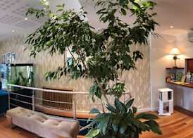Hotel Le Relais Saint-Jacques 2