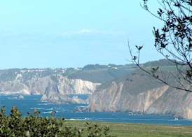 Astur Regal 4