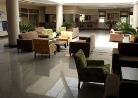 Palm Dor Hotel 3