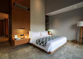 Alaya Private Estate at Damara Village Ubud 4