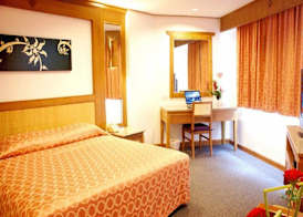 Royal Twins Palace Hotel 5