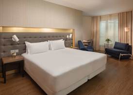 NH Lyon Airport 4