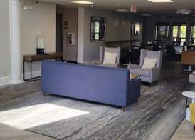 Comfort Inn & Suites at Stone Mountain 5