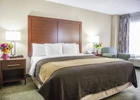 Comfort Inn Pentagon City 3