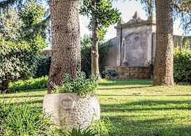 Occidental Aurelia 4