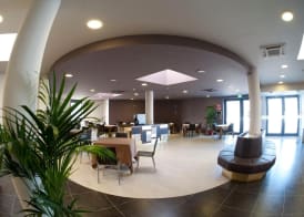 Hotel Camelia 2