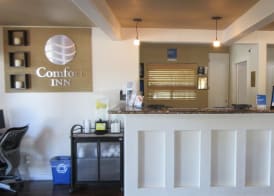 Comfort Inn Bishop 4
