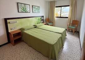 Los Ficus 4