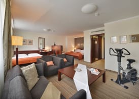 Apollo Hotel Bratislava 4