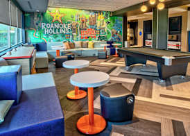 Tru By Hilton Roanoke Hollins 4