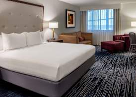 Sonesta Hotel Houston IAH Airport 5