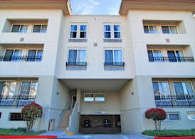 Hampton Inn & Suites Mountain View 3