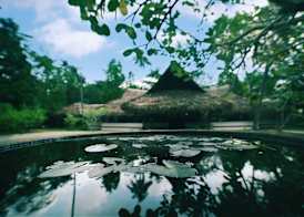 Marari Beach Resort Alleppey - A CGH Earth Experience 2
