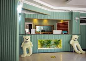 Sun Fire Beach Hotel - All Inclusive 4