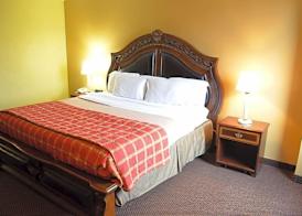 McLure Inn and Suites 4