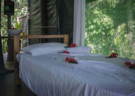 La Leona Eco Lodge 5