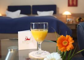 Hotel LENAUHOF - nur 3 Minuten zur Rottal Terme - 5
