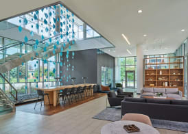 SpringHill Suites by Marriott Denver Downtown 4