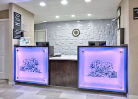 Super 8 by Wyndham Palestine TX 4