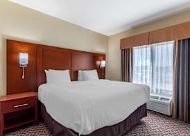 Comfort Inn & Suites Carbondale University Area 3