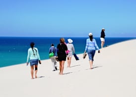 De Hoop Collection 2